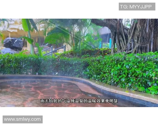 冈山绿雉与温泉的奇妙邂逅探寻自然与人文的完美融合